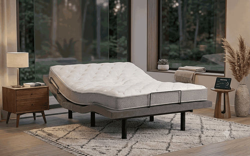 BASE ERGOBALANCE EXP TRANSFORM PRO + MATTRESS EXP TECHNOLOGY ERGO COMFORT