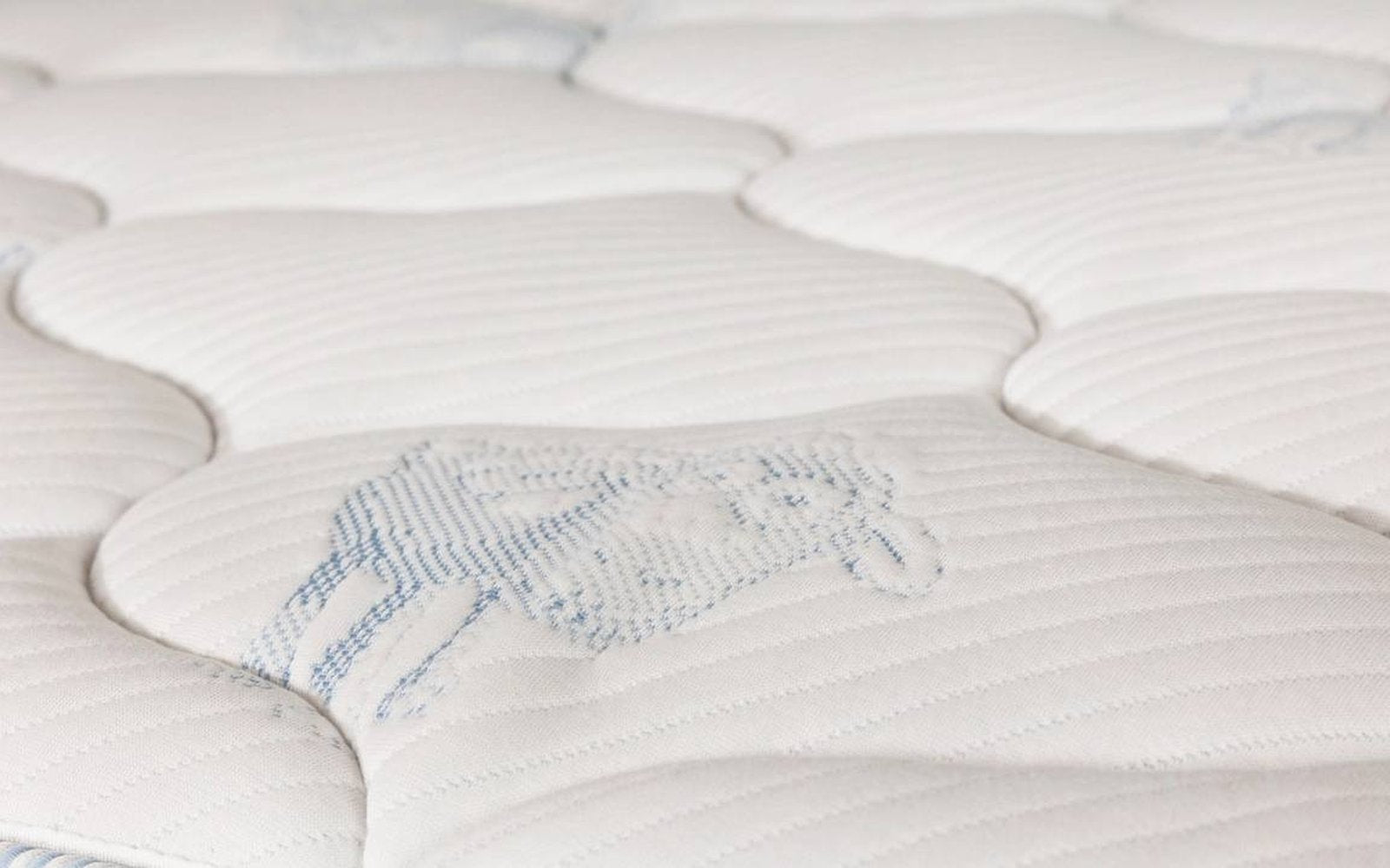 Kids Sleep Professor 1.0 mattress, product photo on white background, view 2