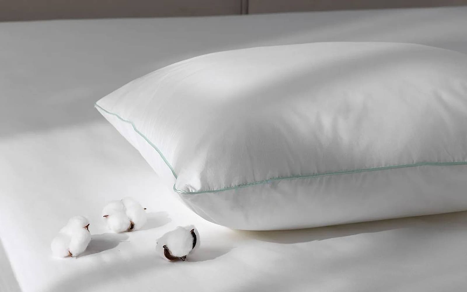 PILLOW EXP BALANCE