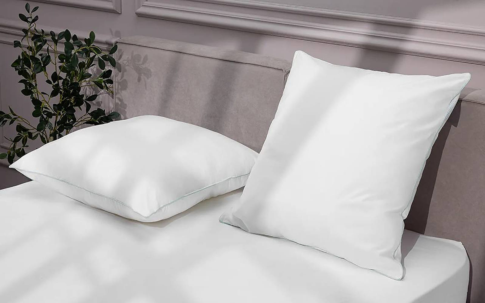 PILLOW EXP BALANCE