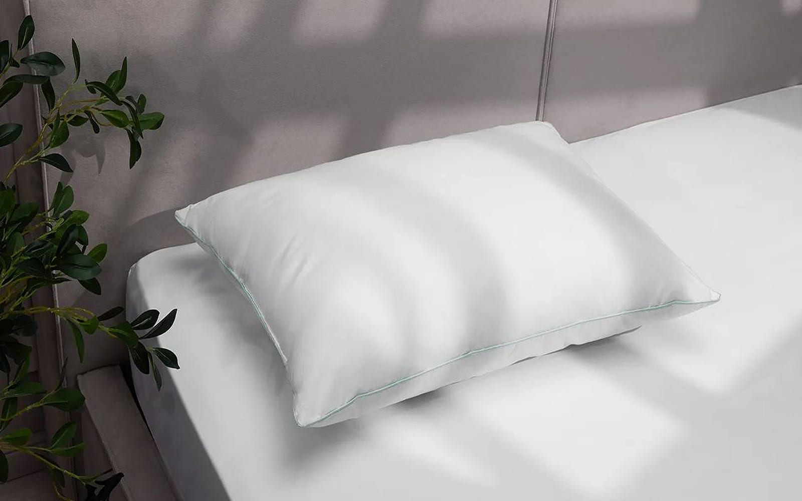 PILLOW EXP BALANCE