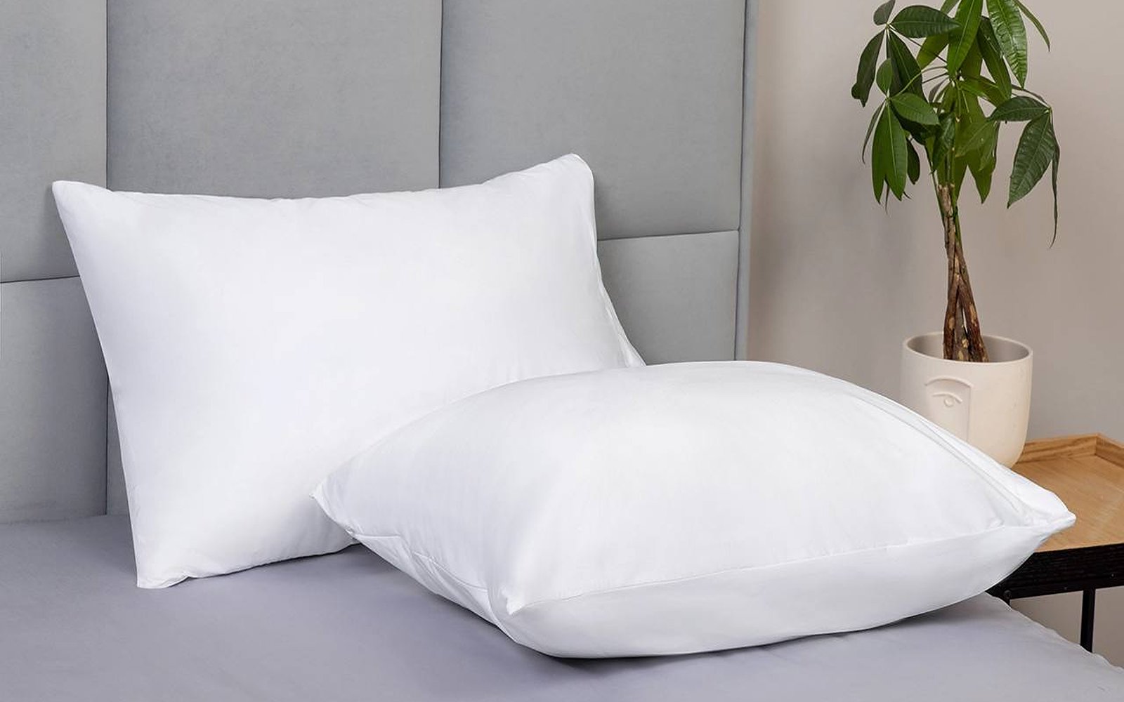 Protect-a-bed pillow in a bedroom interior